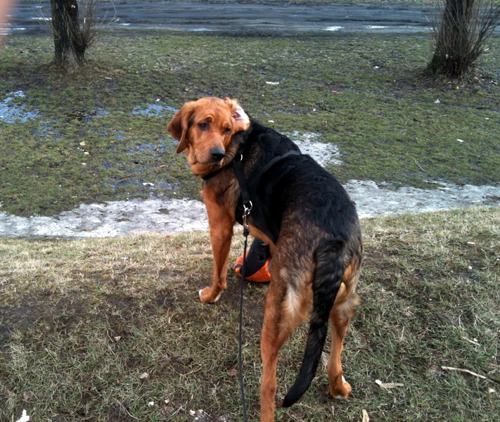 img0265resize.jpg