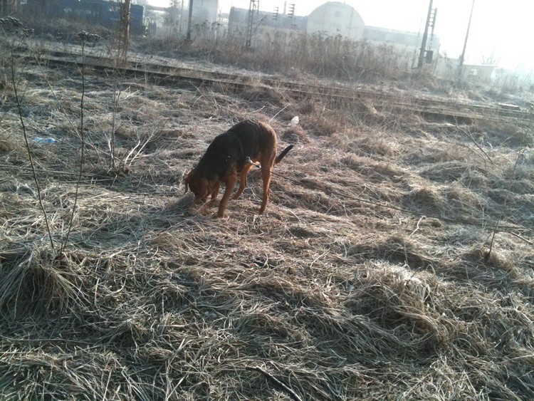img0275resize.jpg