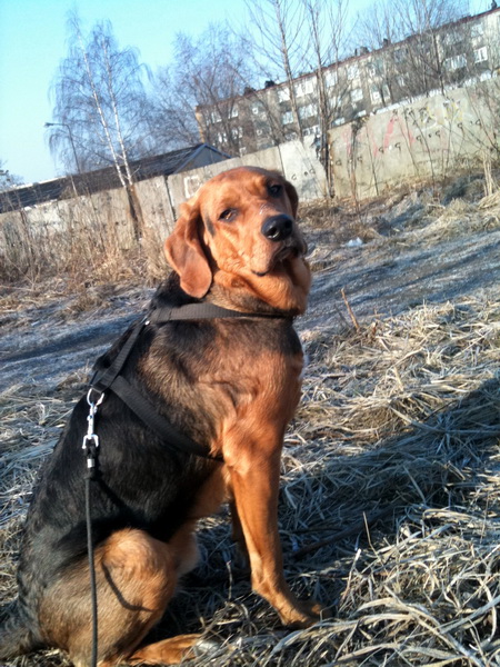 img0279resize.jpg