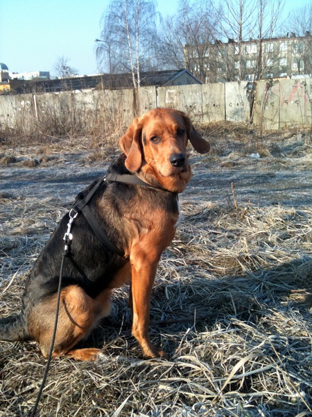 img0280resize.jpg