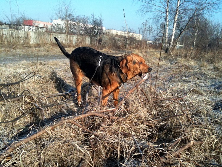 img0286resize.jpg