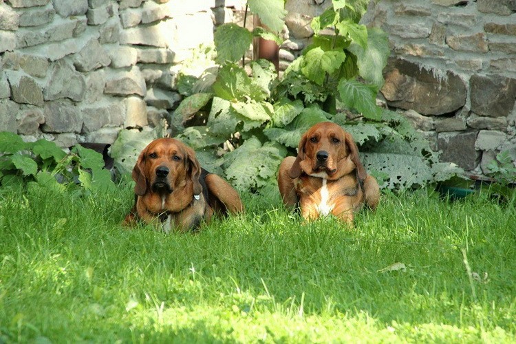 img8870_zmień nazwę.jpg