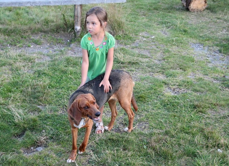 img8225s_zmień nazwę.jpg
