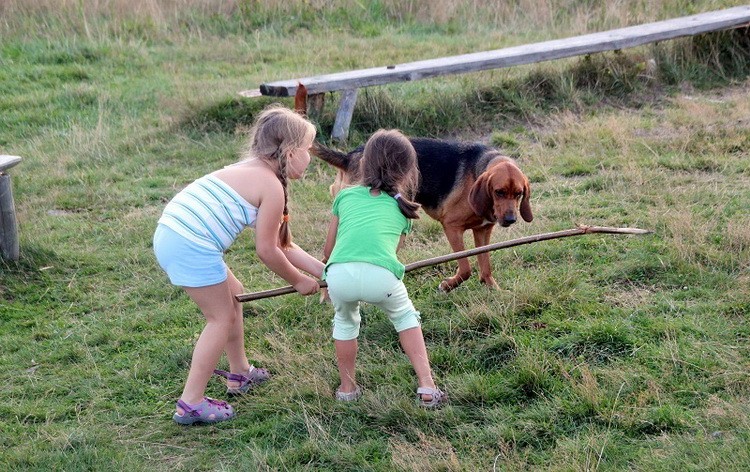 img8236h_zmień nazwę.jpg