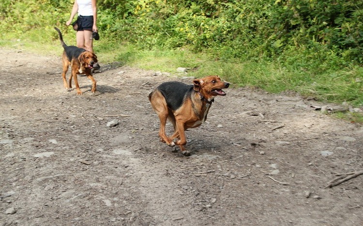 img8339l_zmień nazwę.jpg