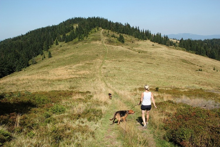 img8680r_zmień nazwę.jpg