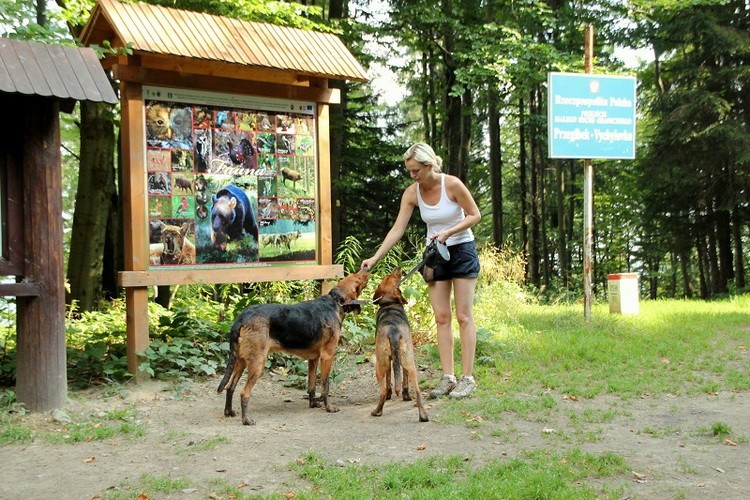 img8547dg_zmień nazwę.jpg
