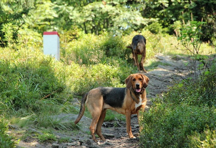 img8661la_zmień nazwę.jpg