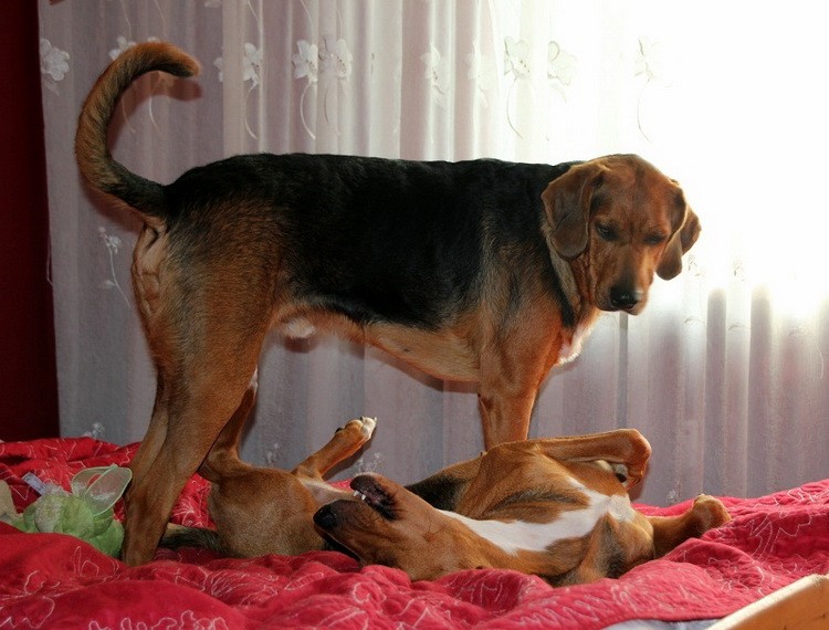img9084i_zmień nazwę.jpg