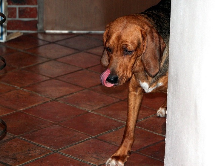 img91655_zmień nazwę.jpg