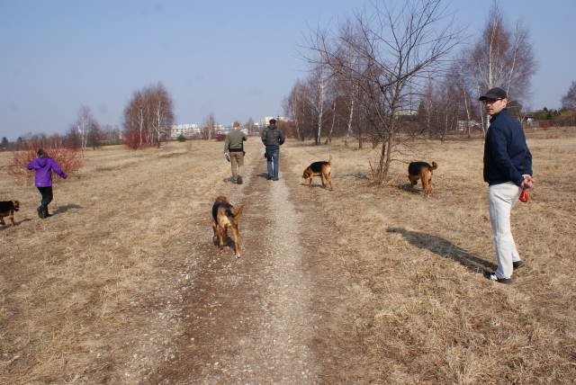 DSC06805a.jpg