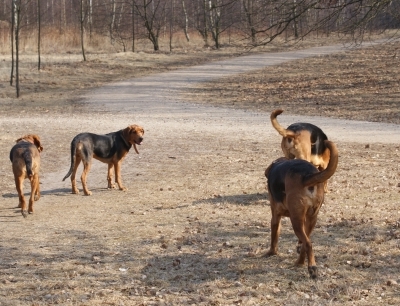 DSC06819a.jpg