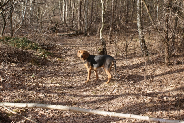 DSC06786a.jpg