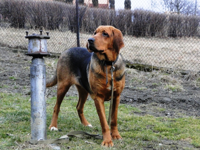 Iskra marzec 2012 5.JPG