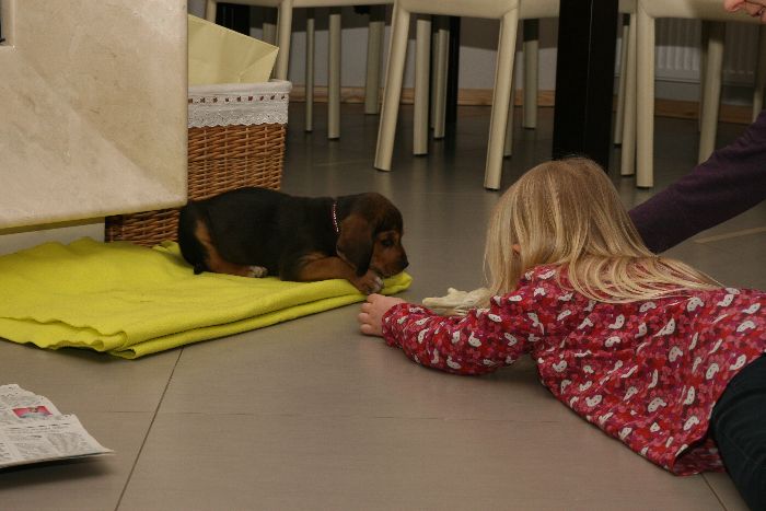 żeby zrozumieć trzeba zniżyć się do odpowiedniego poziomu...