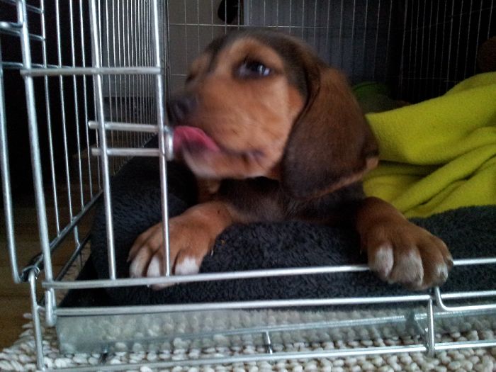 20120317_173215.jpg