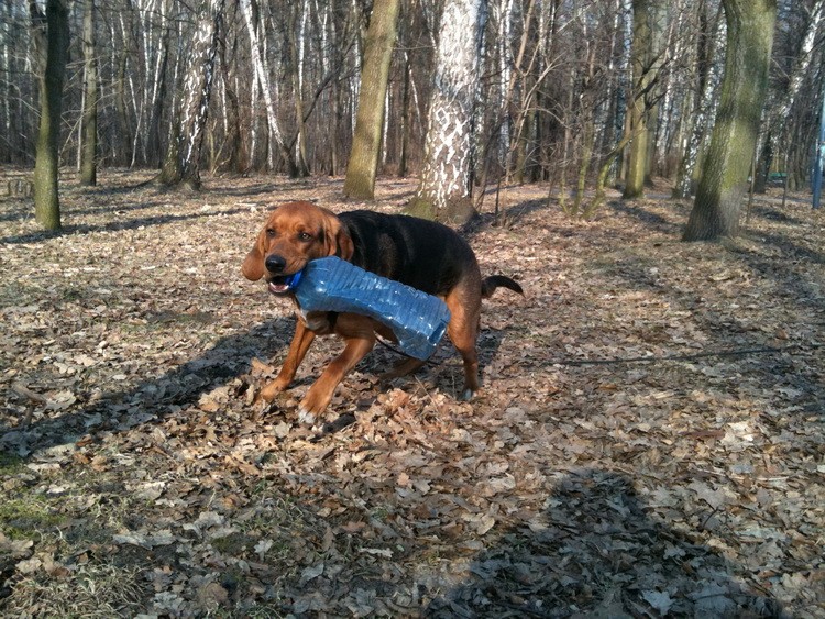 img0291resize.jpg