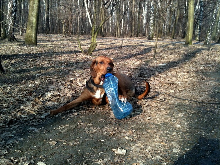 img0289resize.jpg