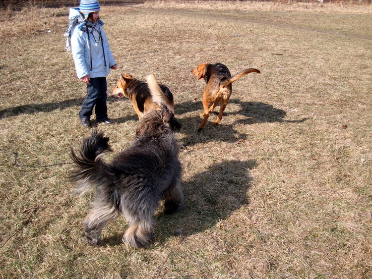 dsc09213resize.jpg