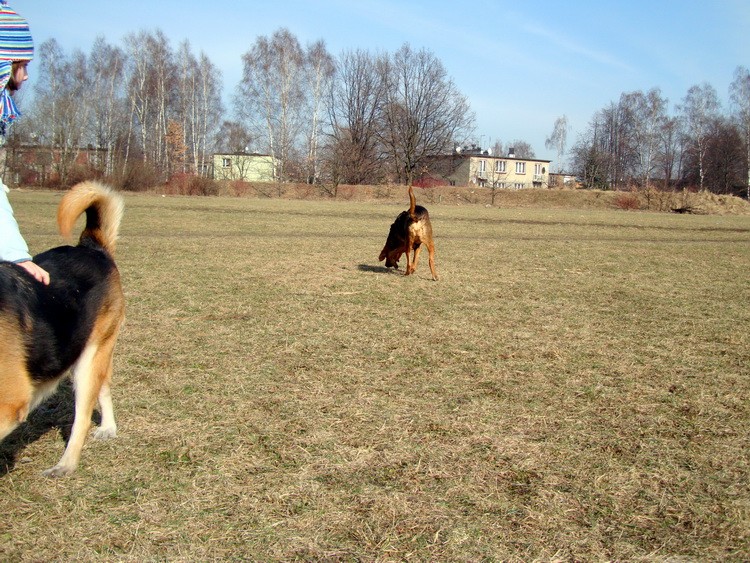 dsc09214resize.jpg