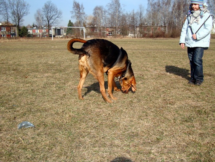 dsc09215resize.jpg