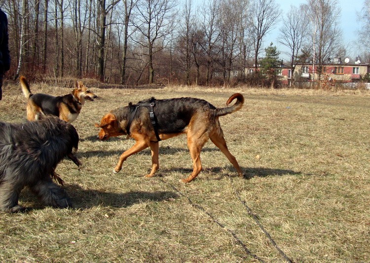 dsc09216resize.jpg