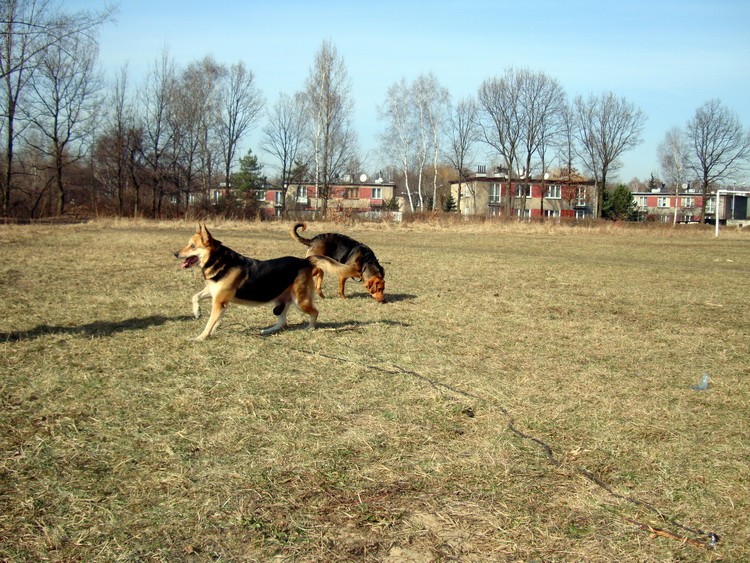 dsc09219resize.jpg