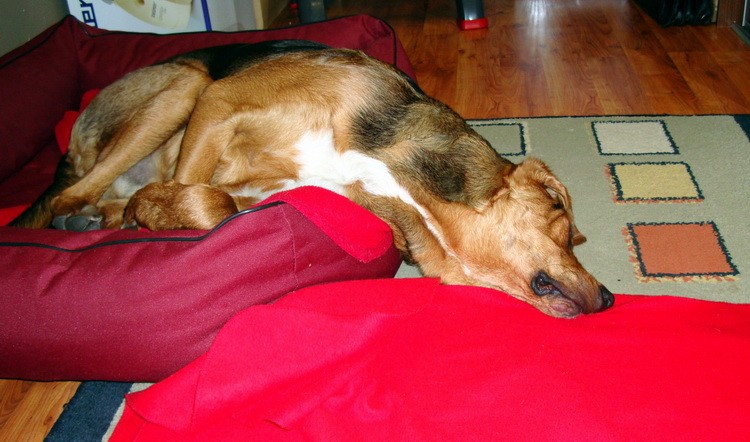 dsc09207resize.jpg