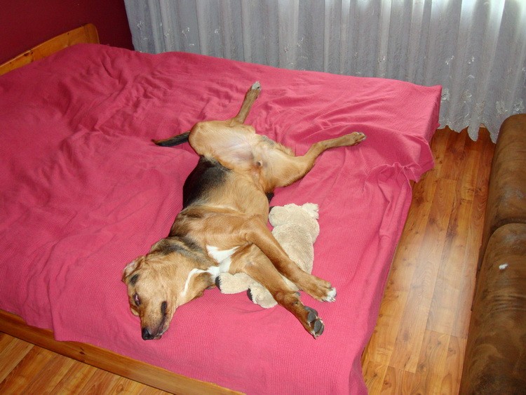 dsc09196resize.jpg