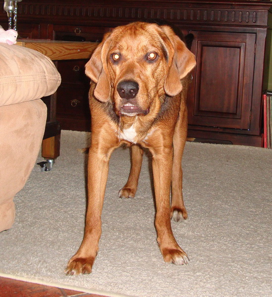 dsc09210resize.jpg