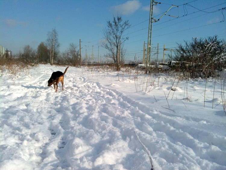 img0297resize.jpg
