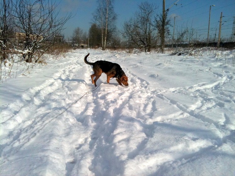 img0299resize.jpg