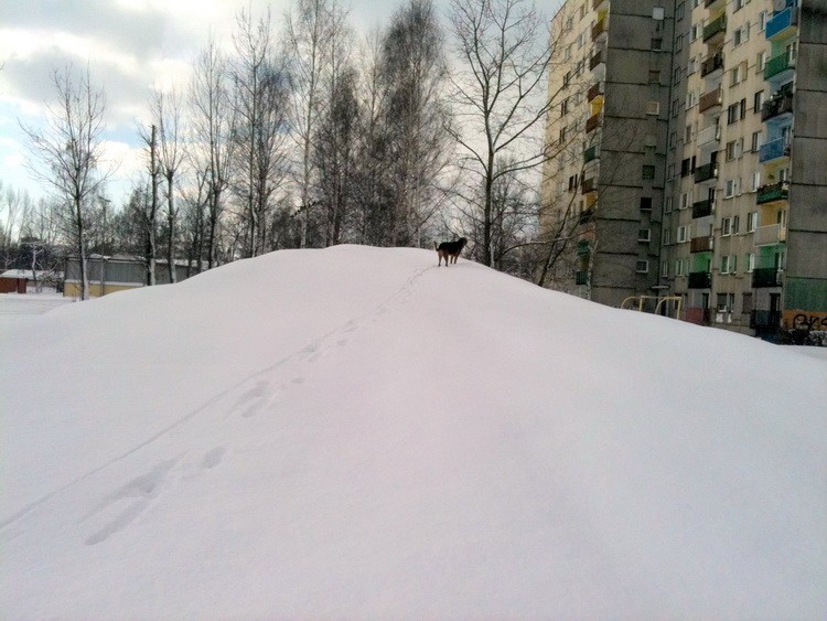 img0303resize.jpg