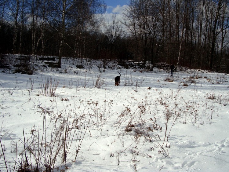 dsc09223resize.jpg