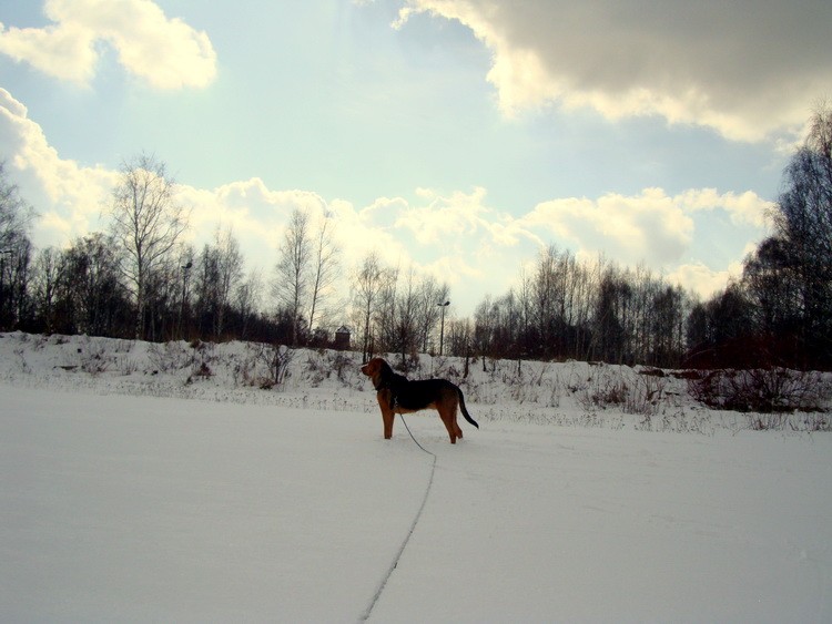 dsc09230resize.jpg