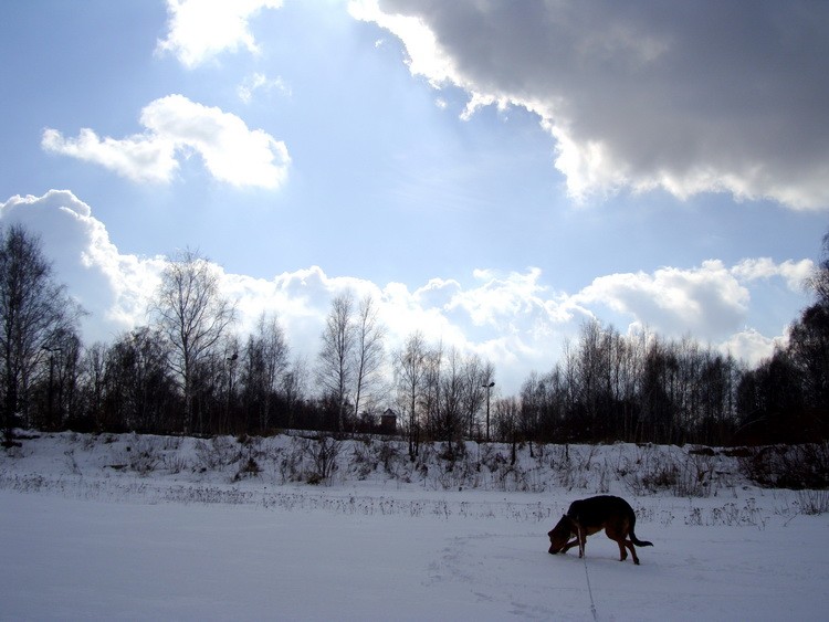 dsc09229resize.jpg