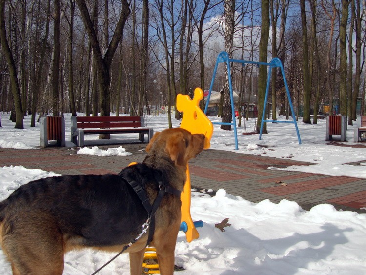 dsc09237resize.jpg