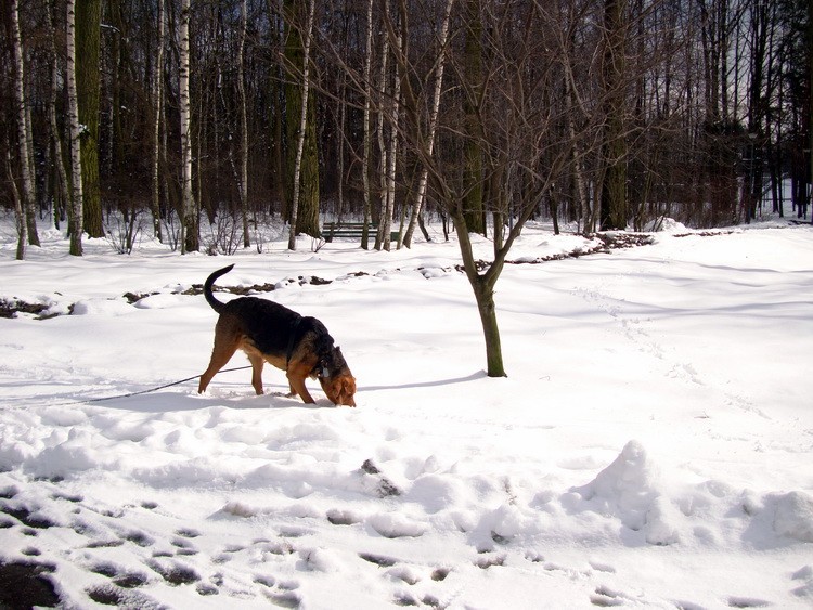 dsc09242resize.jpg