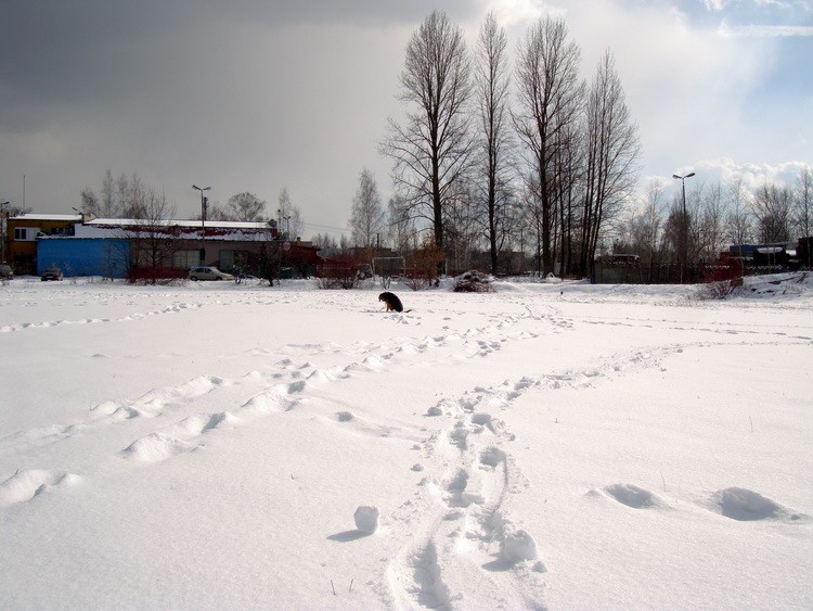 dsc09252resize.jpg