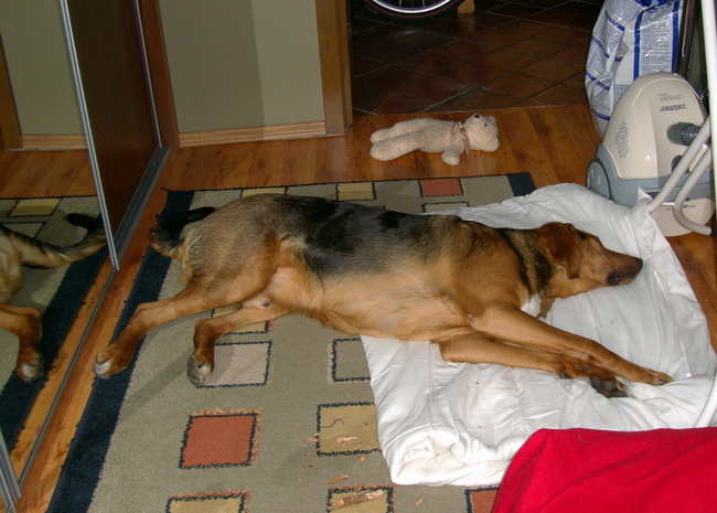 dsc09263resize.jpg