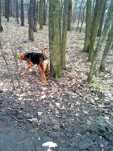 img0311resizeg_zmień nazwę.jpg