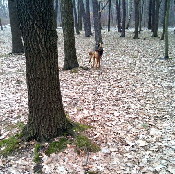 img0313resize_zmień nazwę.jpg