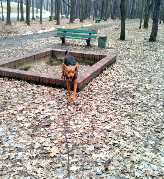 img0312resize_zmień nazwę.jpg