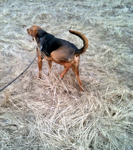 img0314resize_zmień nazwę.jpg