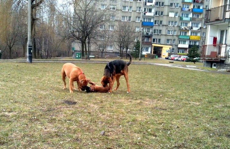 img0319resize.jpg