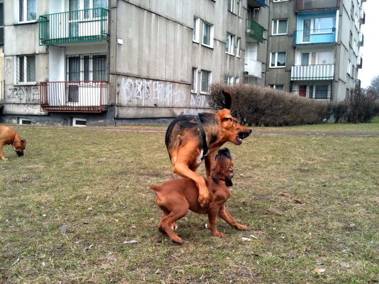 img0324resize.jpg