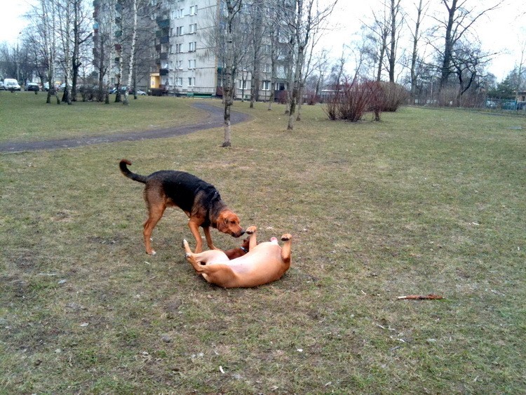 img0330resize.jpg