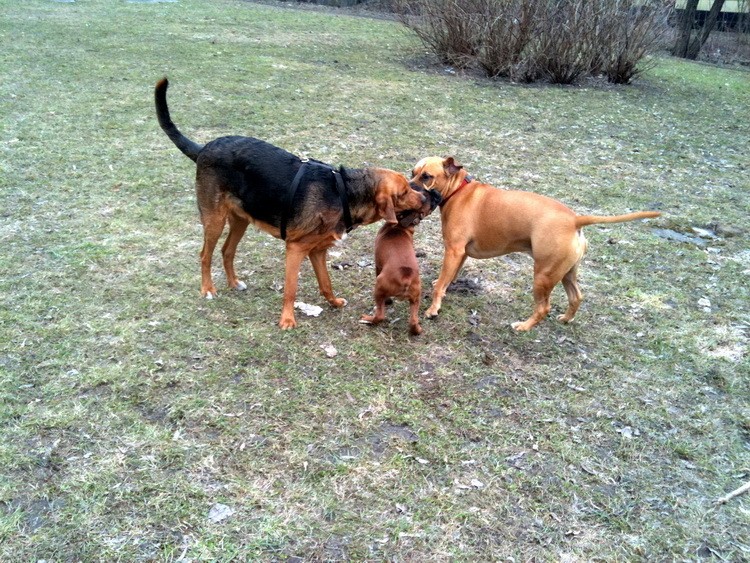 img0328resize.jpg
