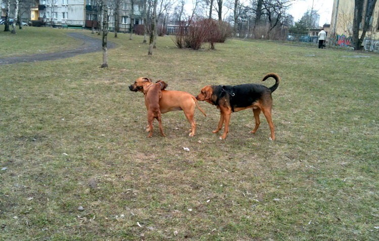img0332resize.jpg