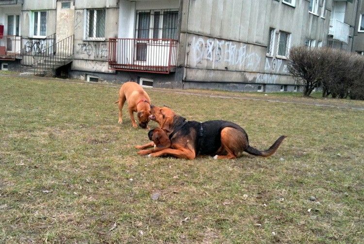 img0326resize.jpg